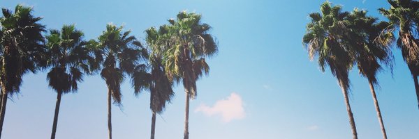 AlexisCorry Profile Banner