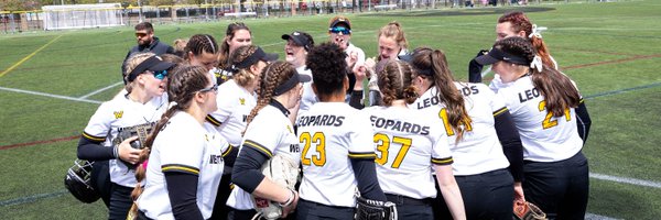 witsoftball Profile Banner
