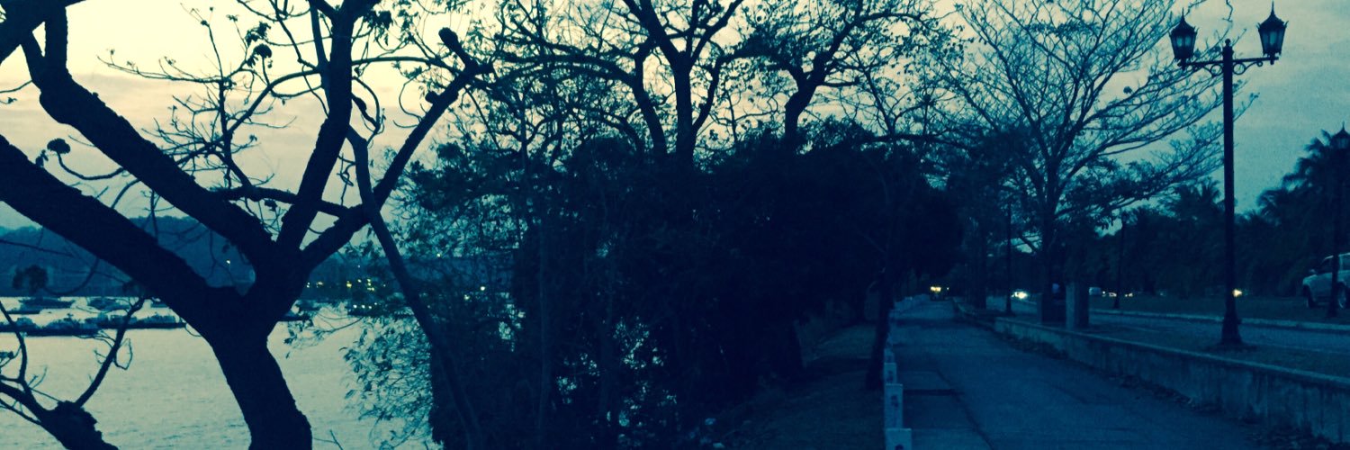 ElySequeira's profile banner image
