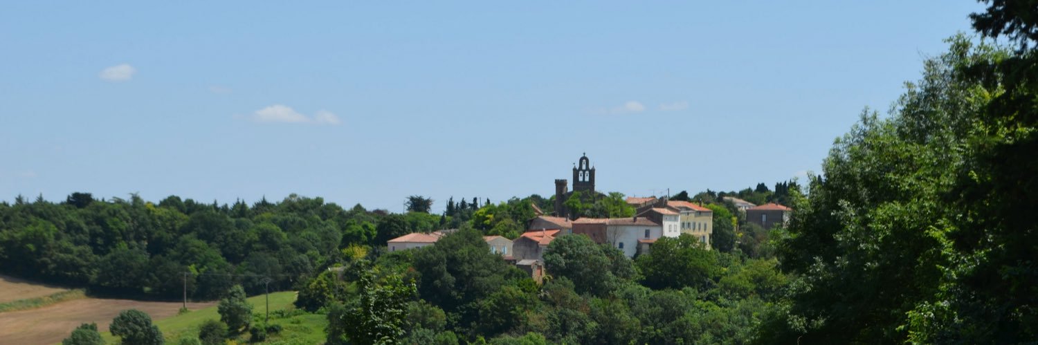 Dan Sarkozi banner