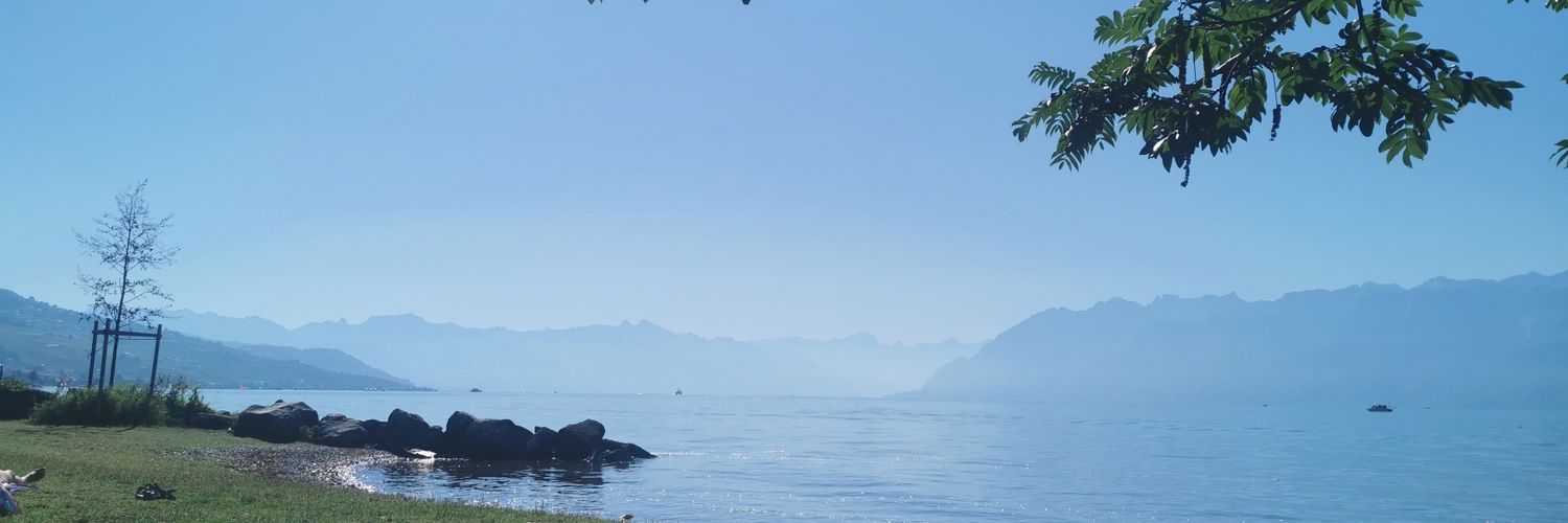 FengShuiSwiss's profile banner image