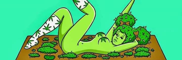 Biah_knowles's profile banner image