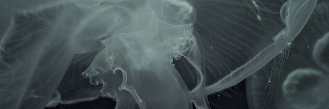 _Mindfxck's profile banner image