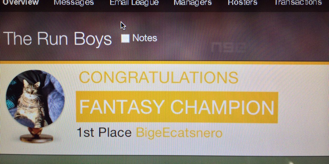 Bigecatsnero's profile banner image
