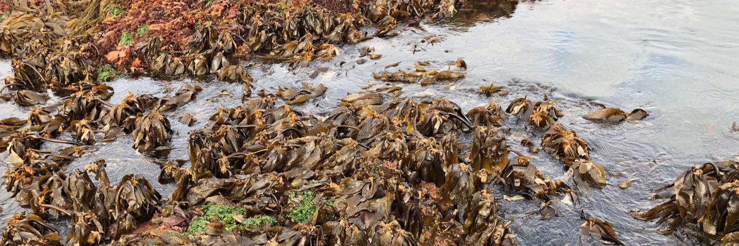 Samuel Starko banner