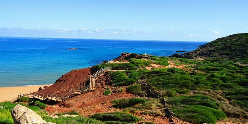 Marta Albareda Valls banner
