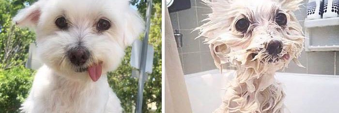 VirginiadelasNi's profile banner image