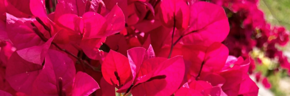 ProducerRossi's profile banner image