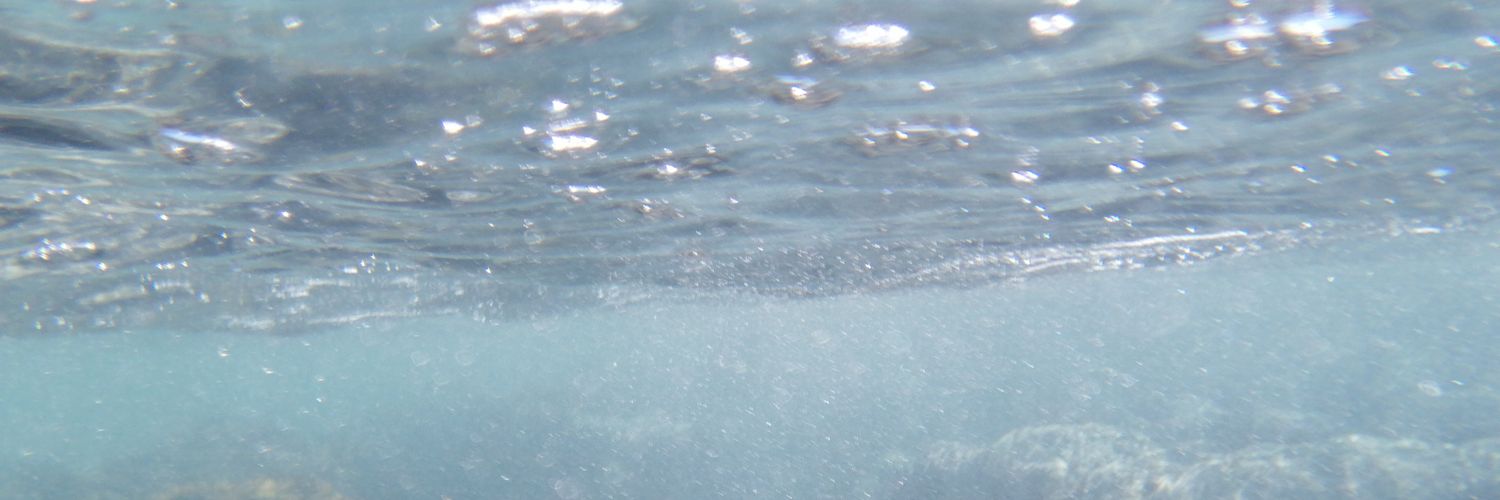 Tania banner