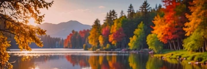 anna65__'s profile banner image