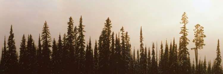 JakeRomannn's profile banner image