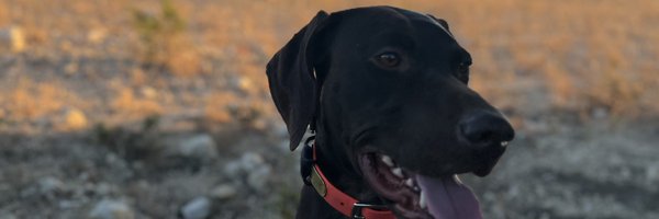 ZerekKroll Profile Banner