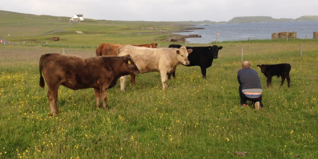 Erik Kyle Thomson banner