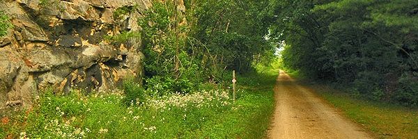 ellisj2's profile banner image