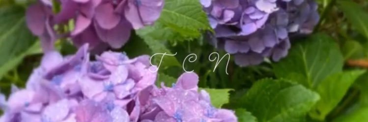 fkym_qoo's profile banner image