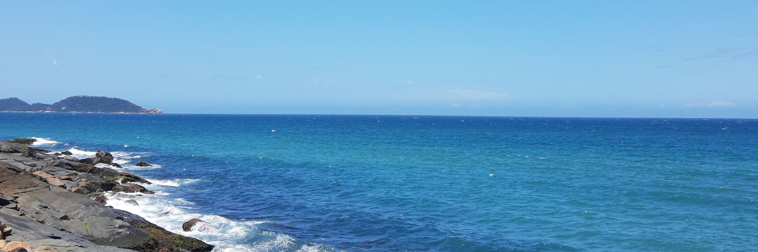 marafcarvalho's profile banner image