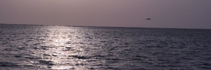 hanx1941's profile banner image