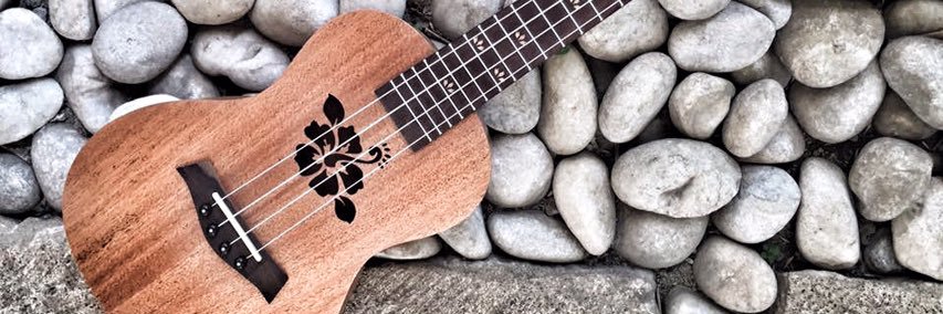 emelineguarin's profile banner image