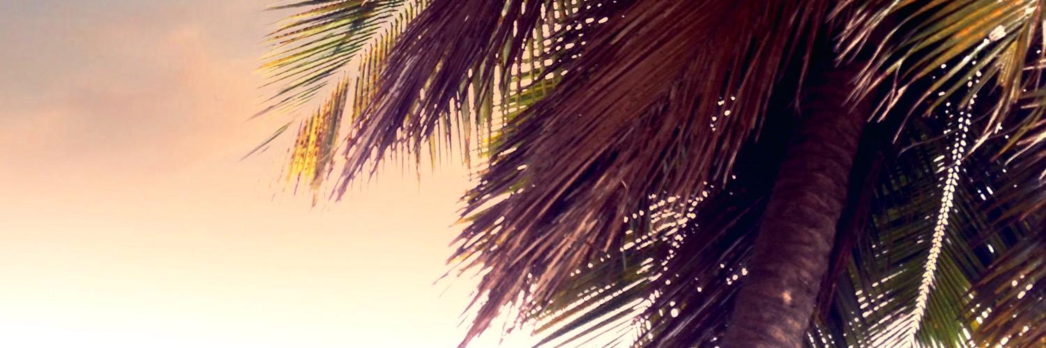 jacklendeborg's profile banner image