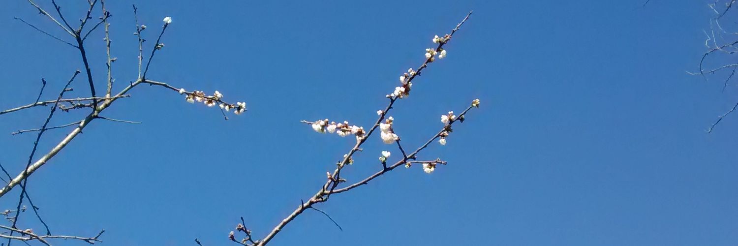 LaCalendaRestau's profile banner image
