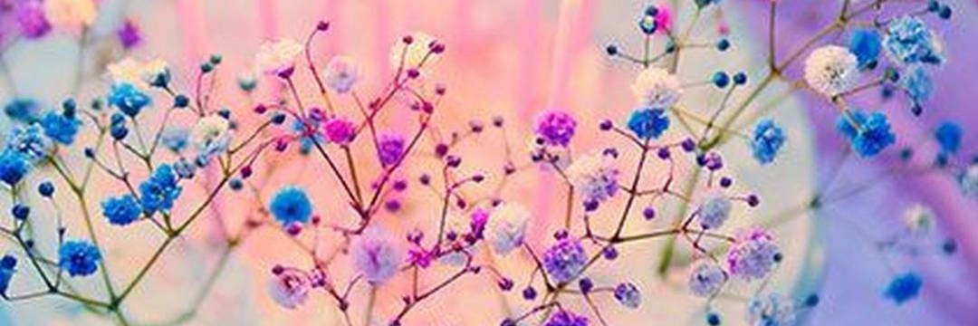 Hevilobe2's profile banner image