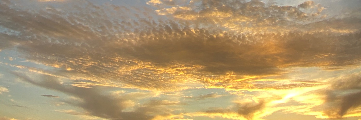rgbr's profile banner image