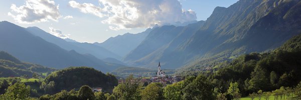 spiderbill Profile Banner