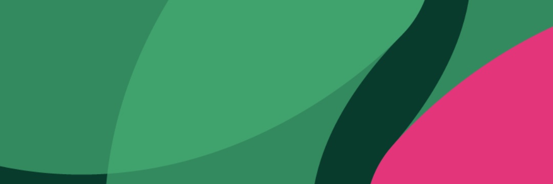 Ciudad de Posadas banner