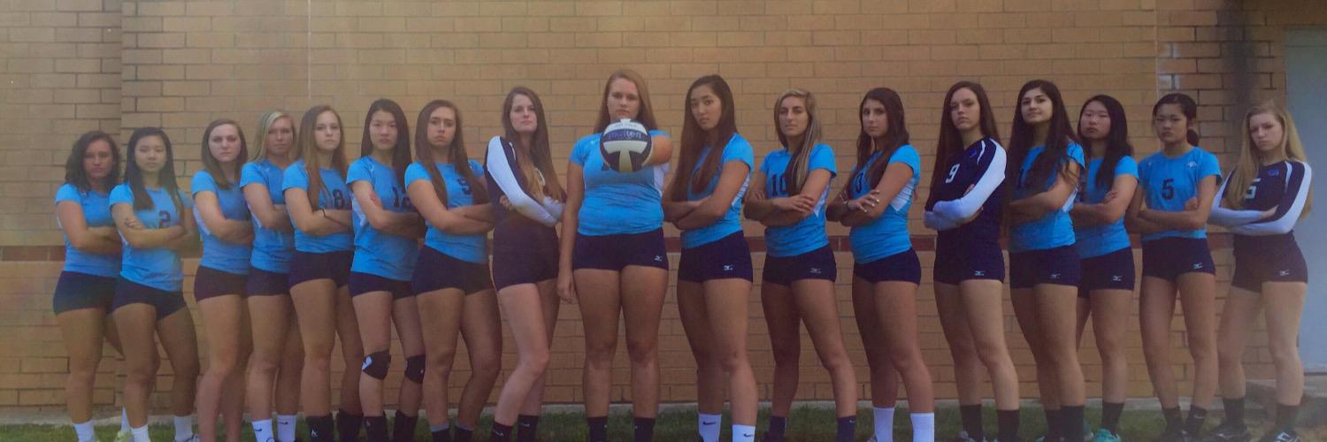 RHHS Volleyball banner