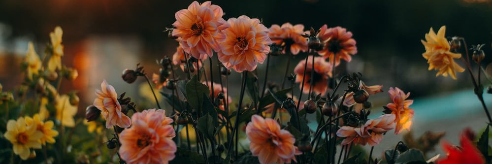 stephhhh_10's profile banner image