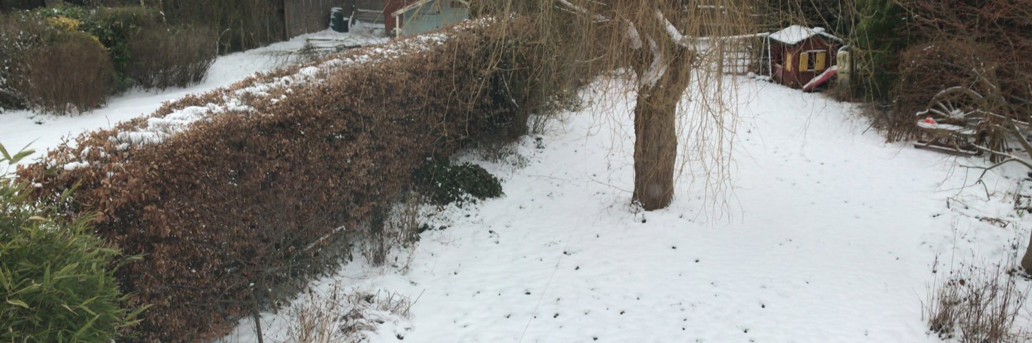 JonathanLynch banner