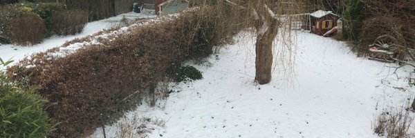 MrJonathanLynch Profile Banner