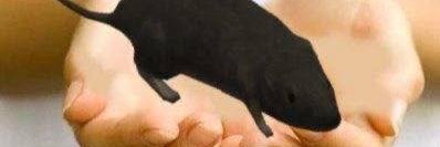 HmmmHmmmhm banner