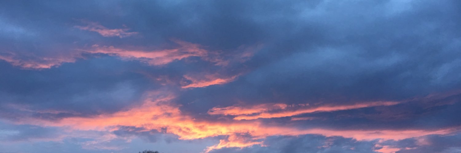 itsliyahflame's profile banner image