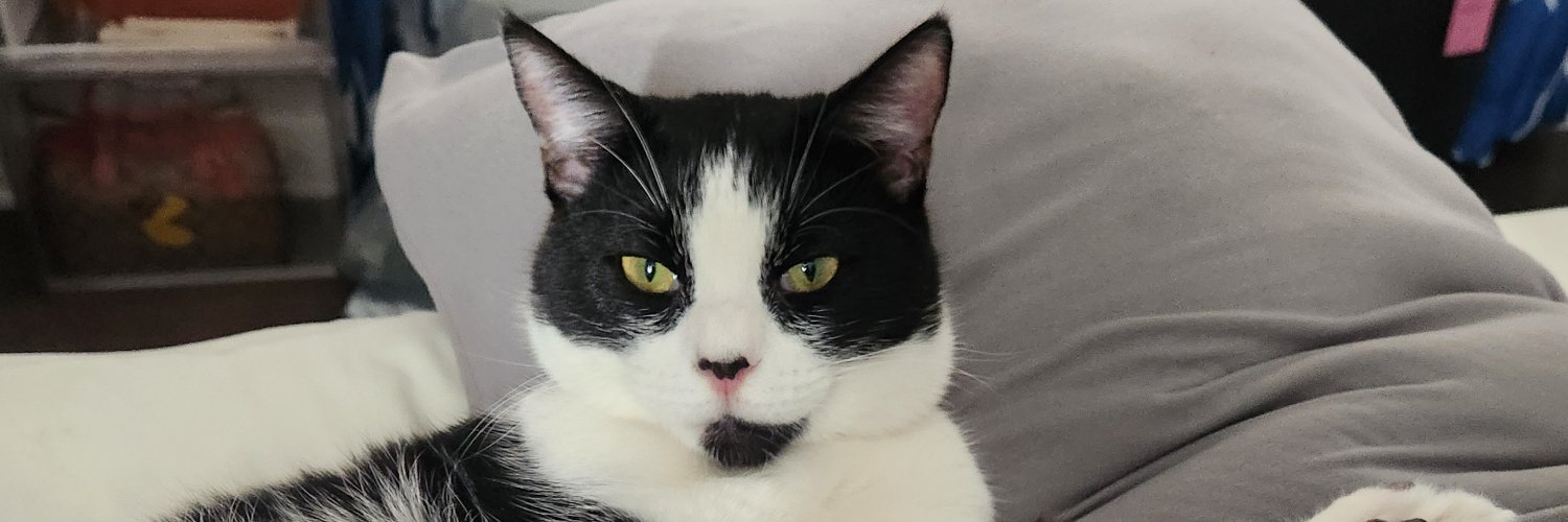 kronk64's profile banner image