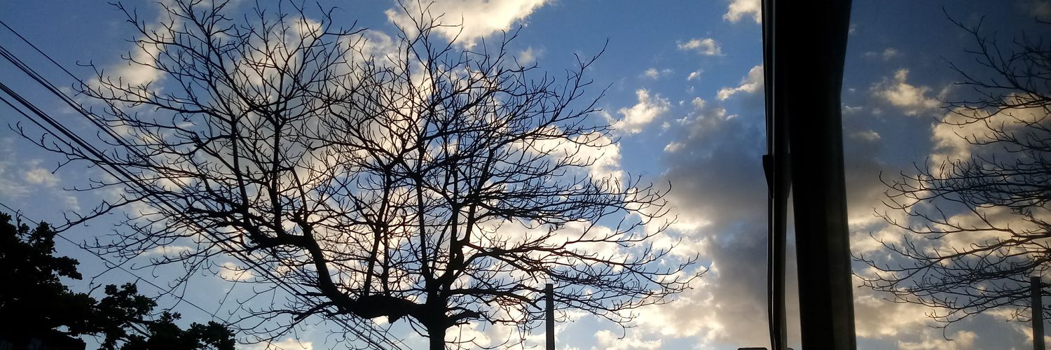 RebecaSza's profile banner image