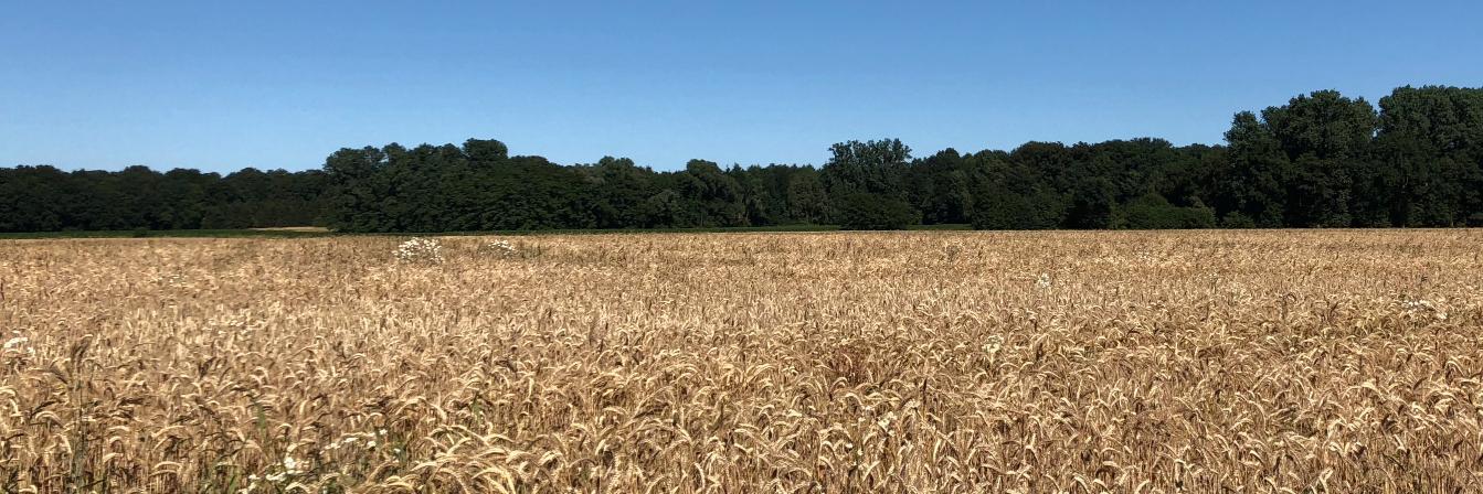 Landtechnik's profile banner image