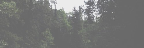 weedaustin's profile banner image