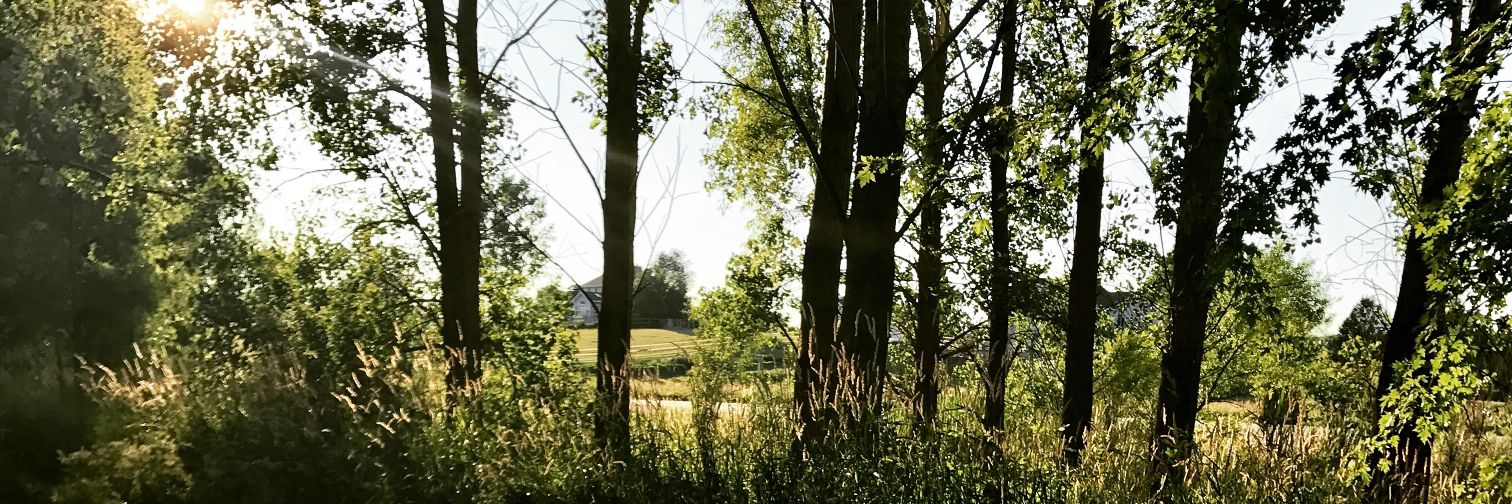 SydneeEllison's profile banner image