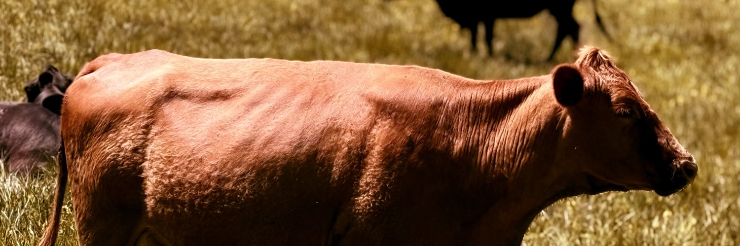 mtafresh404's profile banner image