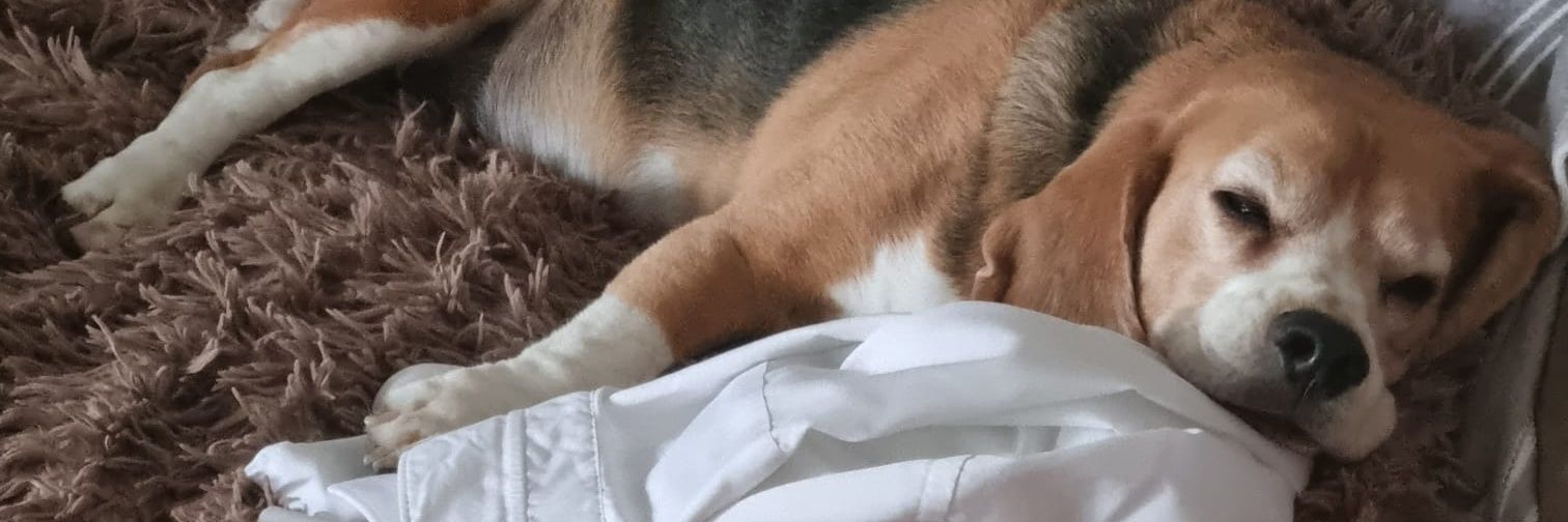 Jones Alfresco 🇷🇴🇺🇦 banner