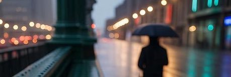 chelobch's profile banner image