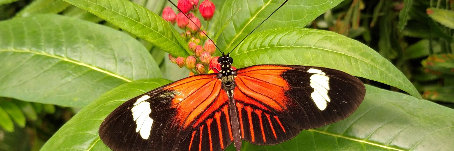 Eva Rocío Villacís banner