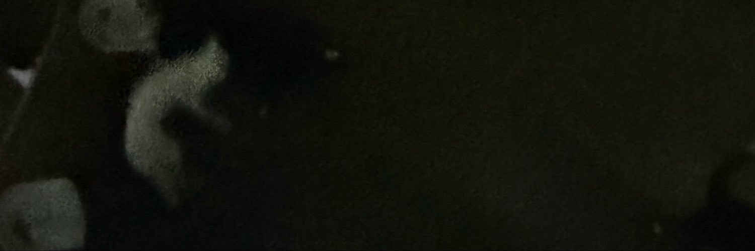 1flowerred1's profile banner image