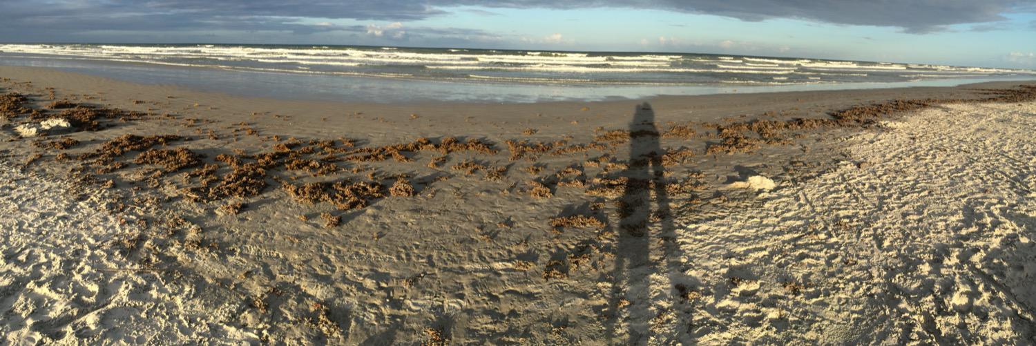 madisonrigdon's profile banner image