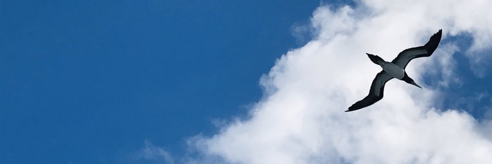 chiemi2222's profile banner image