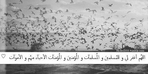 zahiama's profile banner image