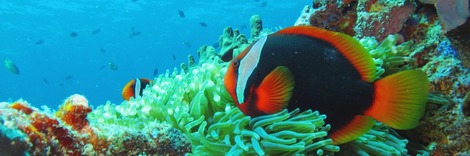 studiooceanman's profile banner image