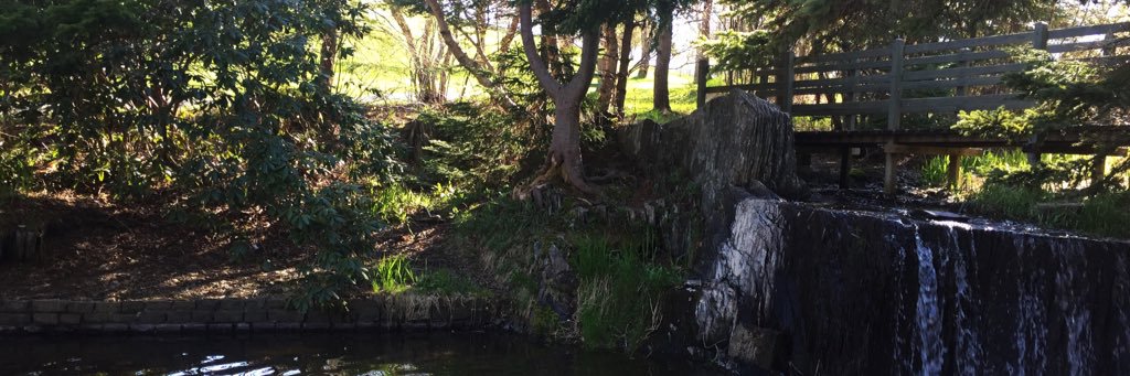 jillstringer_'s profile banner image