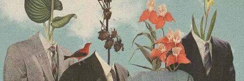 Nurullahcakay's profile banner image